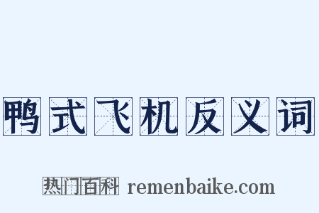 鸭式飞机反义词是什么意思的图片